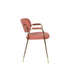 JOLIEN Lot De 2 Chaises Avec Accoudoirs Et Pieds Dorés 21 JOLIEN Lot De 2 Chaises Avec Accoudoirs Et Pieds Dorés -Meubles Soldes Magasin 2 chaises accoudoirs pieds dores jolien 9