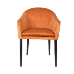 CATELYN Fauteuil De Table Design En Velours 14 CATELYN Fauteuil De Table Design En Velours -Meubles Soldes Magasin fauteuil design velours catelyn 2