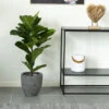 FIDDLE LEAF TREE Plante Artificielle H100 Cm -Meubles Soldes Magasin fiddle leaf tree plante artificielle h100cm house nordic
