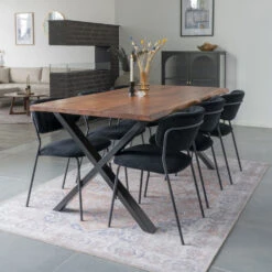 ALICANTE Lot De 2 Chaises En Velours Et Métal 18 ALICANTE Lot De 2 Chaises En Velours Et Métal -Meubles Soldes Magasin lot 2 chaises velours metal house nordic alicante 6