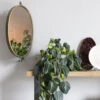 LARA Miroir Ovale En Métal -Meubles Soldes Magasin miroir ovale metal zuiver lara