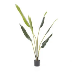 STRELITZIA Plante Artificielle H122cm