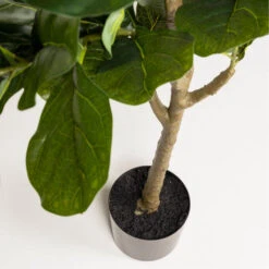 FICUS Plante Artificielle H150cm -Meubles Soldes Magasin plante artificielle h150cm ficus kave home 1